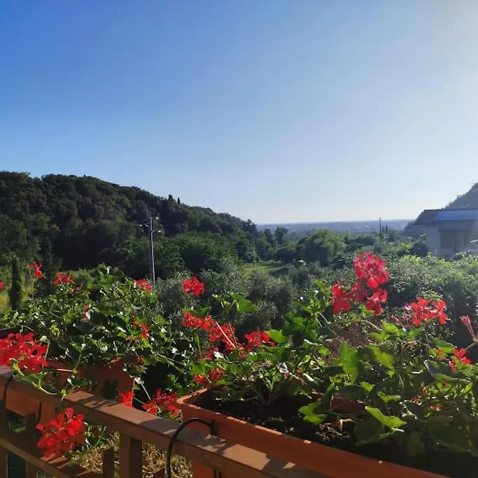 Da Luca E Simona Apartman Camaiore
